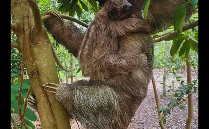 Costa Rica flavours and nature experience