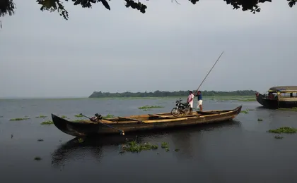 Coastal Serenity: Backwaters, Tea Estates & Marari Beach