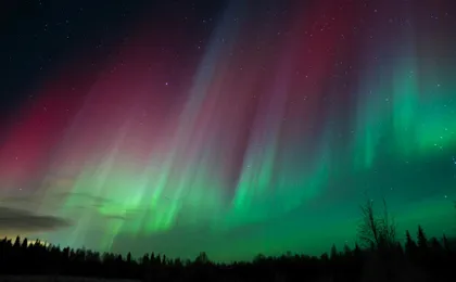 Guaranteed northern lights expedition with photographer from Levi