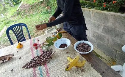 Nature and adventure near Medellin