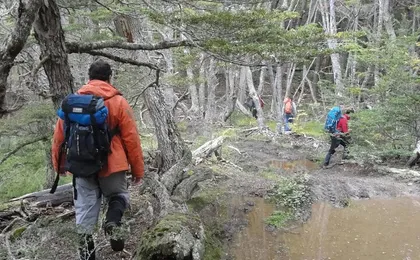 5.5-Hour Nat Park w/ Hiking *Shore Excursion* USHUAIA (Shared tour for cruises)