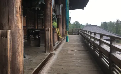 Nara half-day walking tour