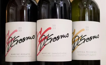 Cantina D'Erasmo Guided Tour with 3 Signature Wine Tastings