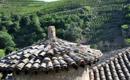 Luxury Wine Day Trip to Loire Valley with Tastings and Michelin lunch