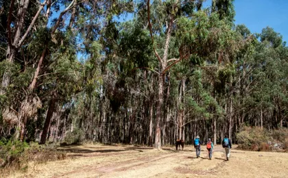 Private full-day hike to Balcon del Diablo
