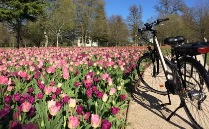 Loire Valley e-bike tour with Chateau de Cheverny and wine tasting