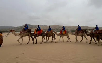 Camel Riding and Moroccan Tea on Tamri Beach from Agadir or Taghazout