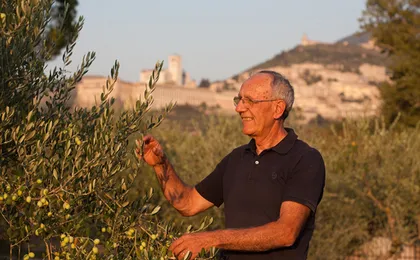 Winery of Assisi guided tasting with 5 wines and lunch