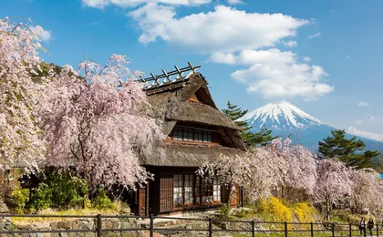 Mount Fuji top 4 must-visit attractions full day tour from Tokyo