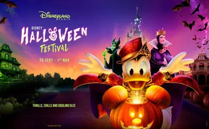 Disneyland® Paris 1-day ticket