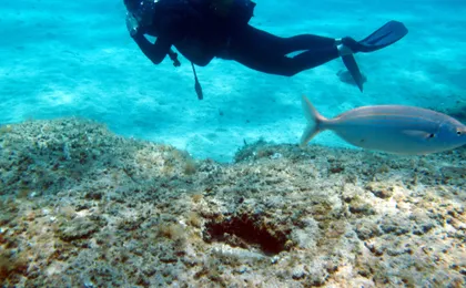 Scuba Diving Rhodes