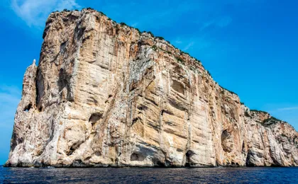 Sardinia Dolphin Watching Boat Cruise