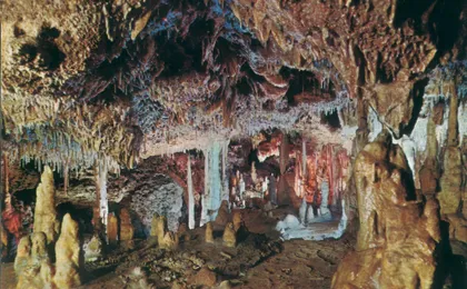 Entrance ticket to Caves of Hams in Porto Cristo