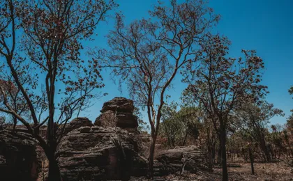 Kakadu National Park full day sightseeing tour in Darwin