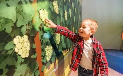 Tickets for Alsace Wine Museum in Colmar