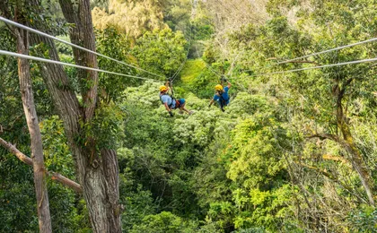 Kohala zipline canopy adventure