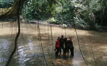 Napo Province primary rainforest guided tour with a local