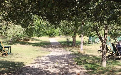 Private Guided walking tour of Grantchester filming locations