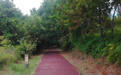 Ecopista do Dão full-day bike tour from Coimbra