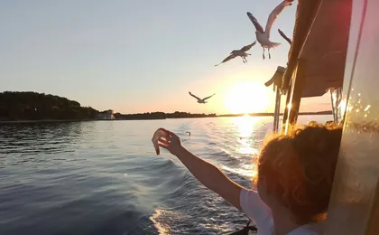 Sunset boat tour to Brijuni National Park with dolphin watching