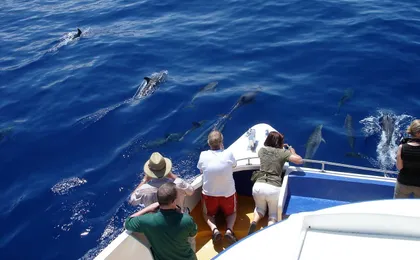 La Palma Coast Cruise with Transfer