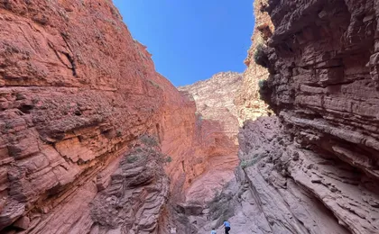 Cafayate full-day excursion with wine tasting from Salta