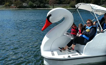 Swan boat rental in Echo Park Los Angeles