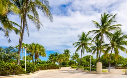 South Beach food tour with 3 tastings and Cuban sandwich in Miami