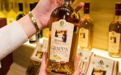 Wine experience with typical lunch in a farm vineyard