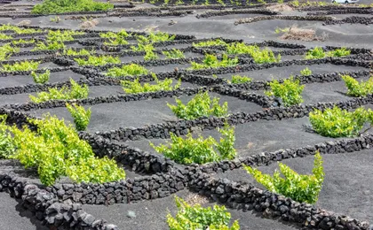 Lanzarote volcanoes and caves tour from Fuerteventura