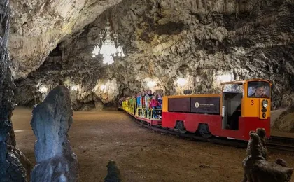 Small group tour to Lipica Stud Farm and Postojna Caves from Zagreb