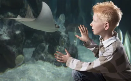 Entrance tickets to discover Hannover Sea Life Aquarium