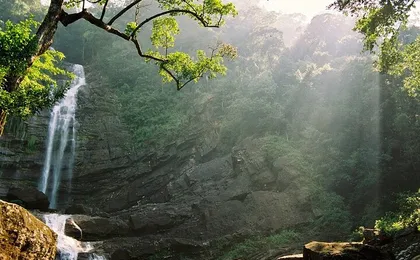 Sinharaja Rain Forest Tour from Tangalle