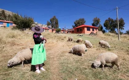 Three-day Luquina family homestay with Lake Titicaca island tour