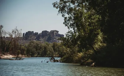 Kakadu National Park full day sightseeing tour in Darwin