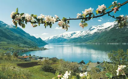 Two-hour fjord sightseeing tour in Oslo