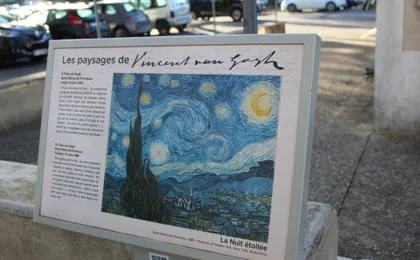 In the Footsteps of Van Gogh in Provence from Avignon
