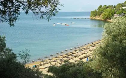 Skiathos dog shelter visit, hill walk and Greek cooking tour