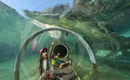 Go City Miami 3 top attractions essentials pass
