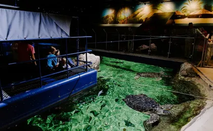 Sea Life Brighton entrance tickets