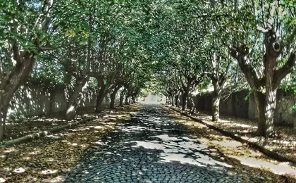 Frascati E-Bike Tour from Rome with Traditional Countryside Lunch & Wine