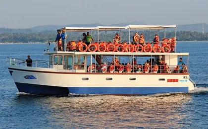 Mirissa Whale Watching Tour From Koggala