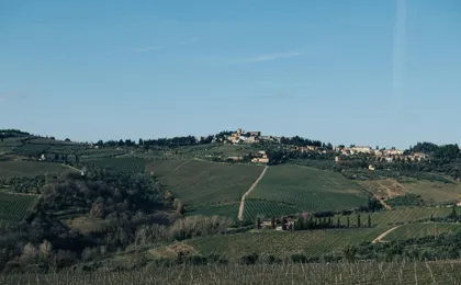 Wine Experience through Chianti Hills from Florence