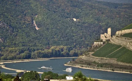 Day tour to the Rhine Valley from Frankfurt