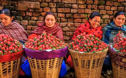 Naturally Nepal 11 Days: Exclusive Heritage & Wilderness Journey