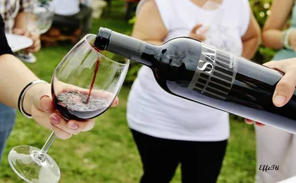 Winery of Assisi guided tasting with 5 wines and lunch