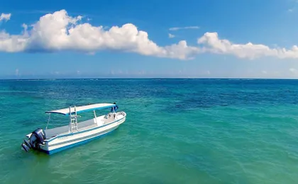 Puerto Morelos Reef snorkelling tour with lunch