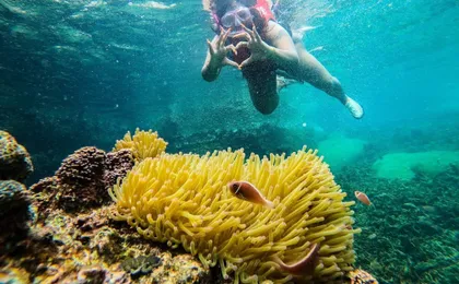 Day trip to discover Koh Tao and Koh Nang Yuan with lunch