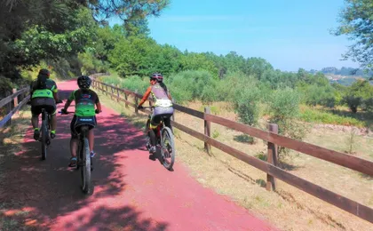 Ecopista do Dão full-day bike tour from Coimbra