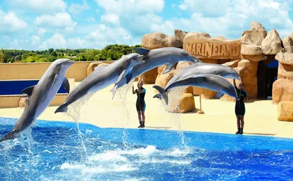 Marineland Catalunya with Transport